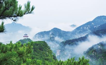 智能温控系统助力烟台大樱桃春节前上市